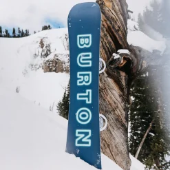 Custom Camber - Snowboard