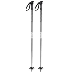 Faction - Skistave