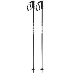 Prodigy Poles - Skistave