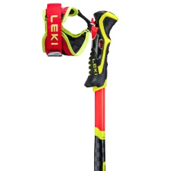 WCR SL 3D - Skistave