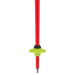 WCR SL 3D - Skistave